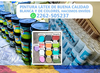Teleguia PINTURA LATEX DE BUENA CALIDAD BLANCA Y DE COLORES, ENVÍOS AL CEL 2262-505237